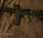 Arp 