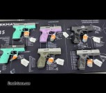 Taurus GX2's multiple colors on stock
