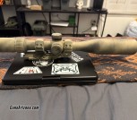 Vortex DBT