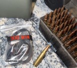 308 Factory ammo