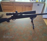Howa 1500 .308
