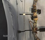 Bear Charge - full bow, opposite side