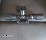 Bsa sweet 22