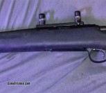 Remington 700 SPS Tactical .308 Rem