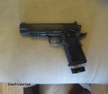 kimber DS warrior 45acp