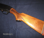 Winchester_1200-2