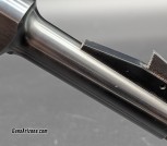 PXL_20260219_175040198