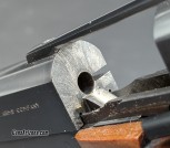 PXL_20260219_175248338.MACRO_FOCUS