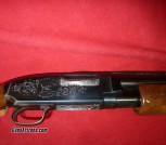 m12 pigeon R action engraving