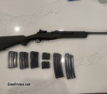 Ruger Mini 14