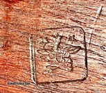 IMG_9768 copy