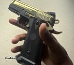 Gold Witness 2311