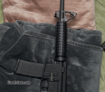 Ruger AR-556 