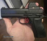 DWX Compact Optics cut, with DW optic plate and Holosun SCS-320-GR