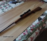 Ruger m77 mk2
