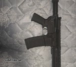 Arp 556/223