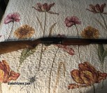 Westfield 12 gage shop