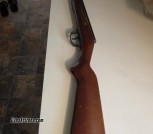 Pellet guns and rifles 