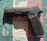 Sig p-365 x macro  9mm
