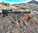 Custom 6mm ARC AR-15