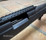 Remington 700 in 22-250 