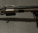 REM 700 300WM