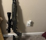 Ruger mini 14