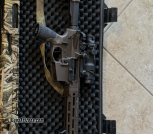 Daniel defense with trijicon ACOG