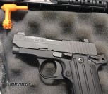 P238 Sig 