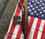 Ruger mini 14 .223