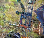 Mathews z7