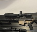 AR10 .308 