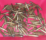 450+ pieces 5.56 brass fully processed