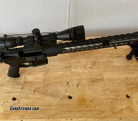 Palmetto state armory custom AR-15