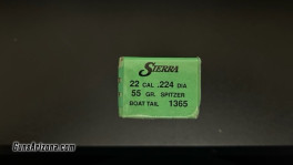 Sierra .22cal .224 55gr Spitzer BT