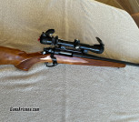 Remington Mohawk 600 .308 w/ Bushnell 