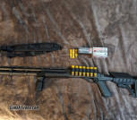 Custom Home Defense Remington 20 gauge Shotgun