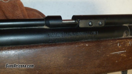 pellet gun model USE