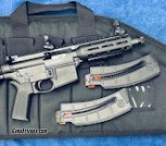 Smith & Wesson M&P 15-22P 22L.R. Pistol