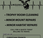 Mount Medic Trophy room cleaning 