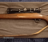Remington model 700 ADL