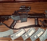 Stag 15