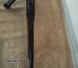 IMG_20231128_083904018