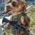 Tacticalduder - avatar