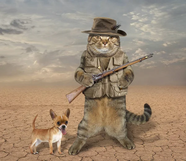 Dog - avatar