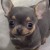 Edgar - avatar