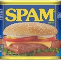 Spamsam - avatar